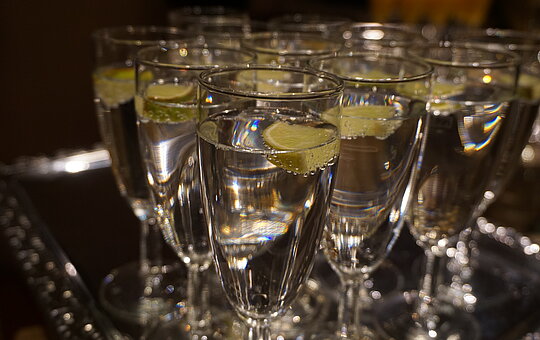 KulturKINO - Die defekte Katze - Foto: Grit Kümmele